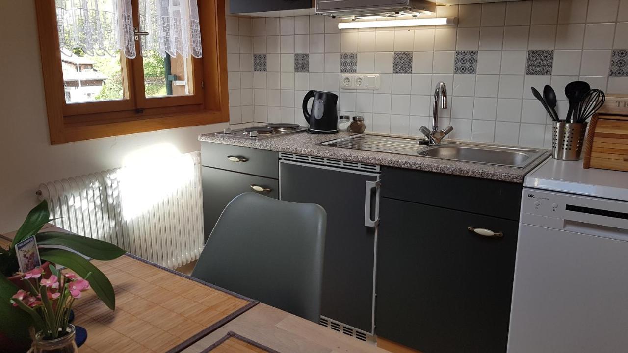 Appartamento Haus Sabine Schruns Esterno foto
